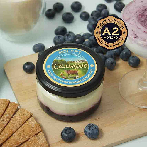 Йогурт греческий «Сальково» с черничным вареньем